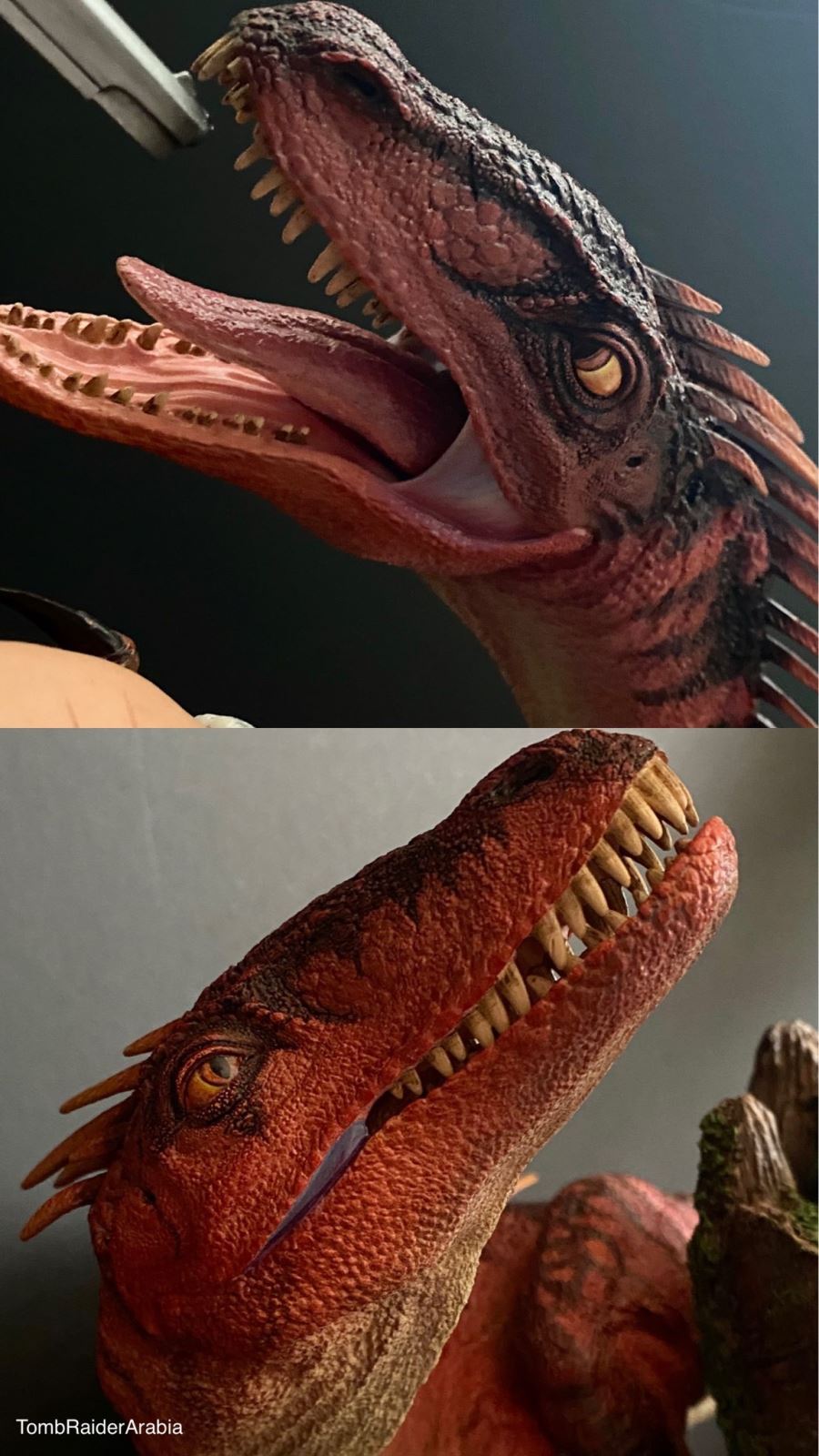 Lalacorft Tomb Raider