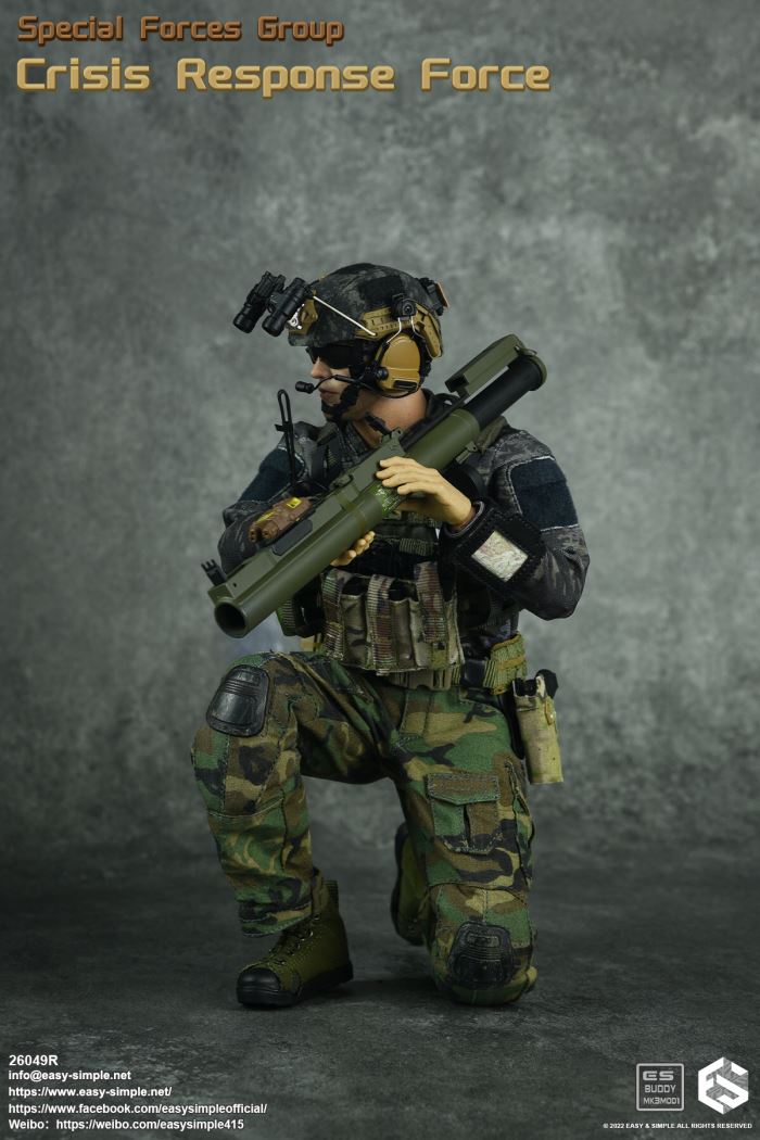 US SFG Green Beret Special Forces CRF 1/6