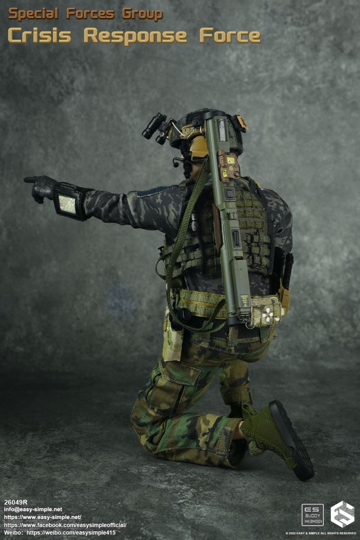 US SFG Green Beret Special Forces CRF 1/6