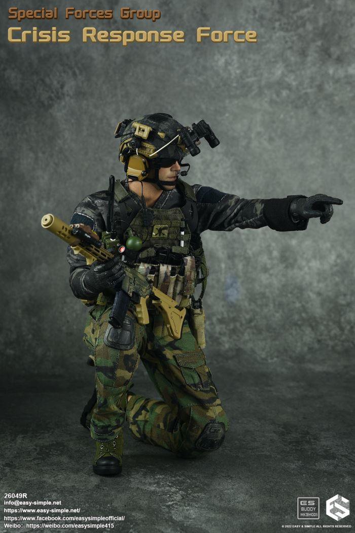 US SFG Green Beret Special Forces CRF 1/6