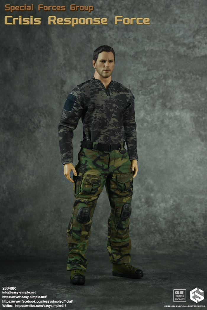 US SFG Green Beret Special Forces CRF 1/6