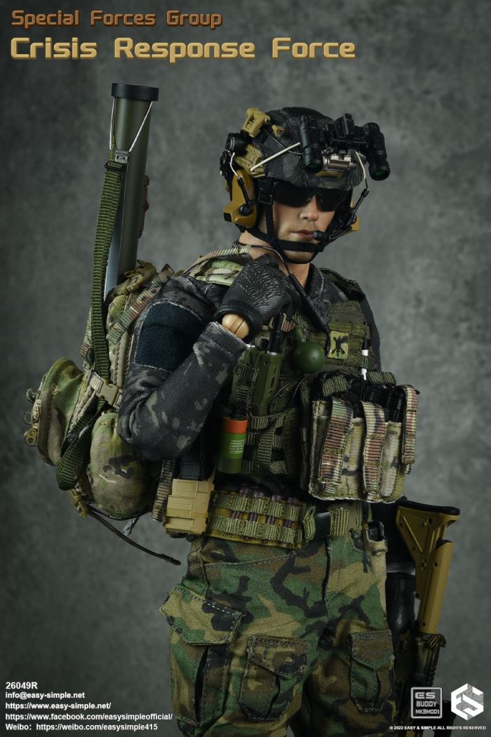 US SFG Green Beret Special Forces CRF 1/6