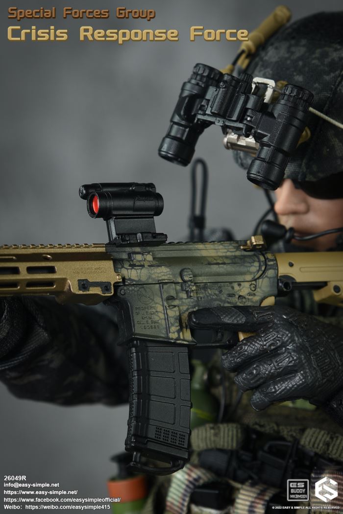 US SFG Green Beret Special Forces CRF 1/6