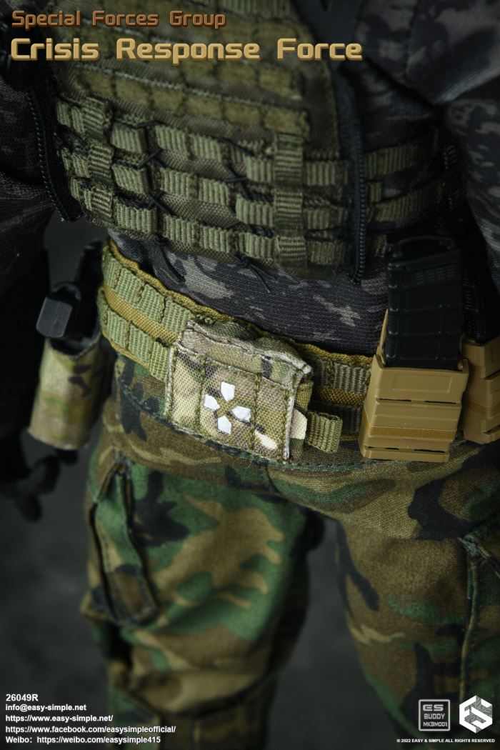 US SFG Green Beret Special Forces CRF 1/6