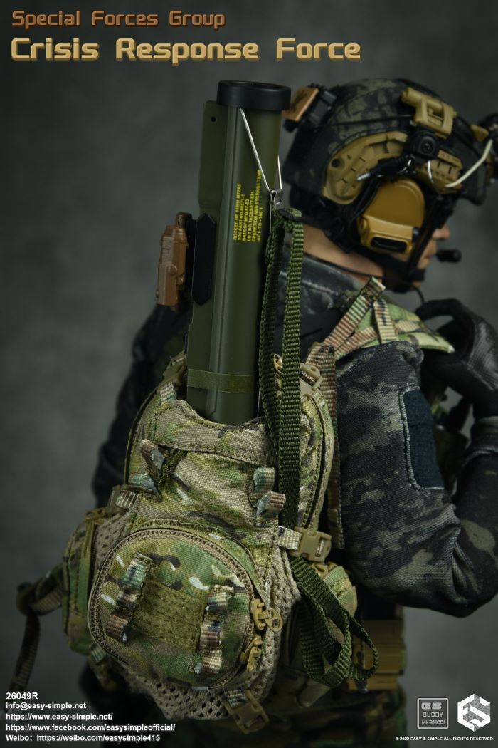 US SFG Green Beret Special Forces CRF 1/6