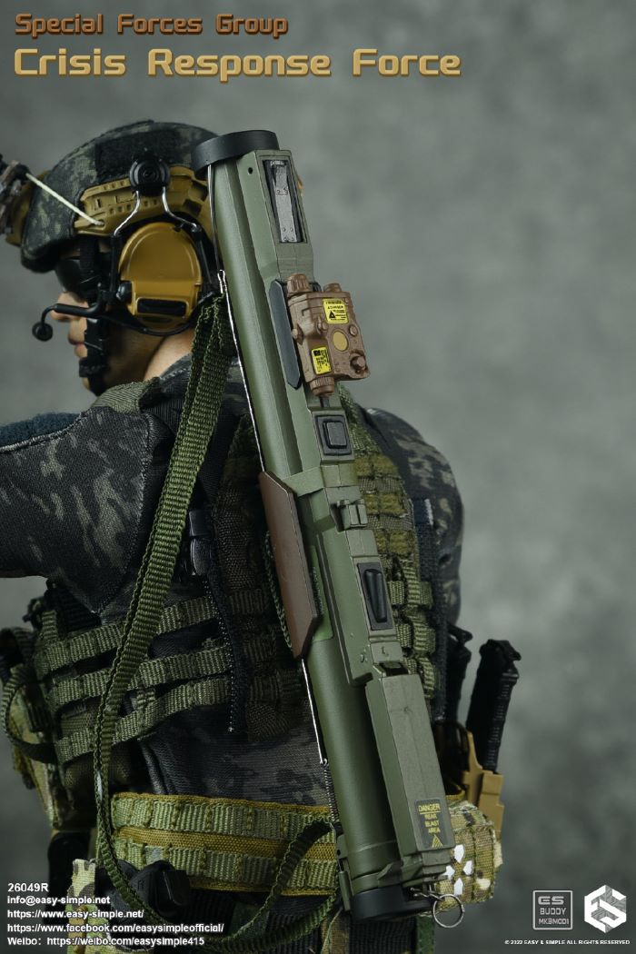 US SFG Green Beret Special Forces CRF 1/6