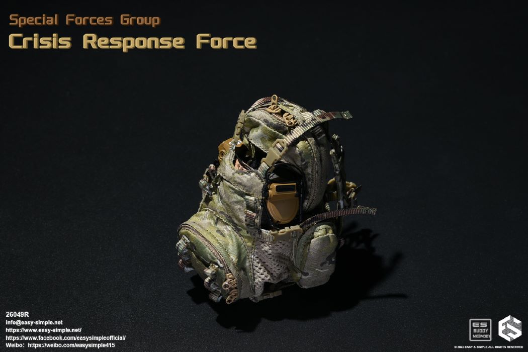 US SFG Green Beret Special Forces CRF 1/6