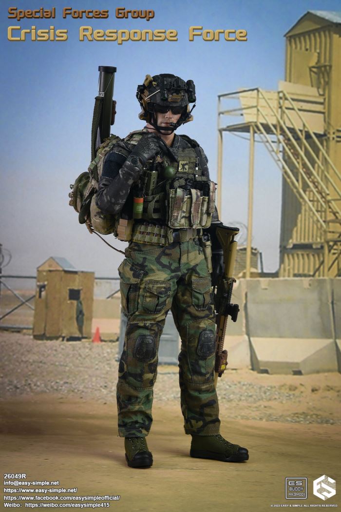 US SFG Green Beret Special Forces CRF 1/6