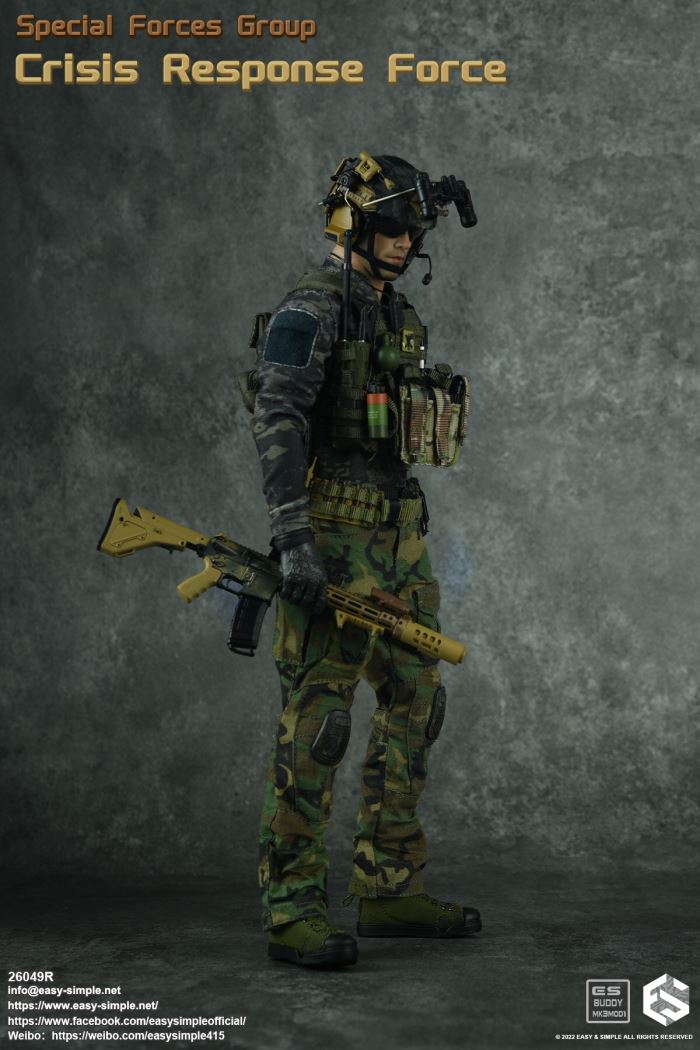 US SFG Green Beret Special Forces CRF 1/6