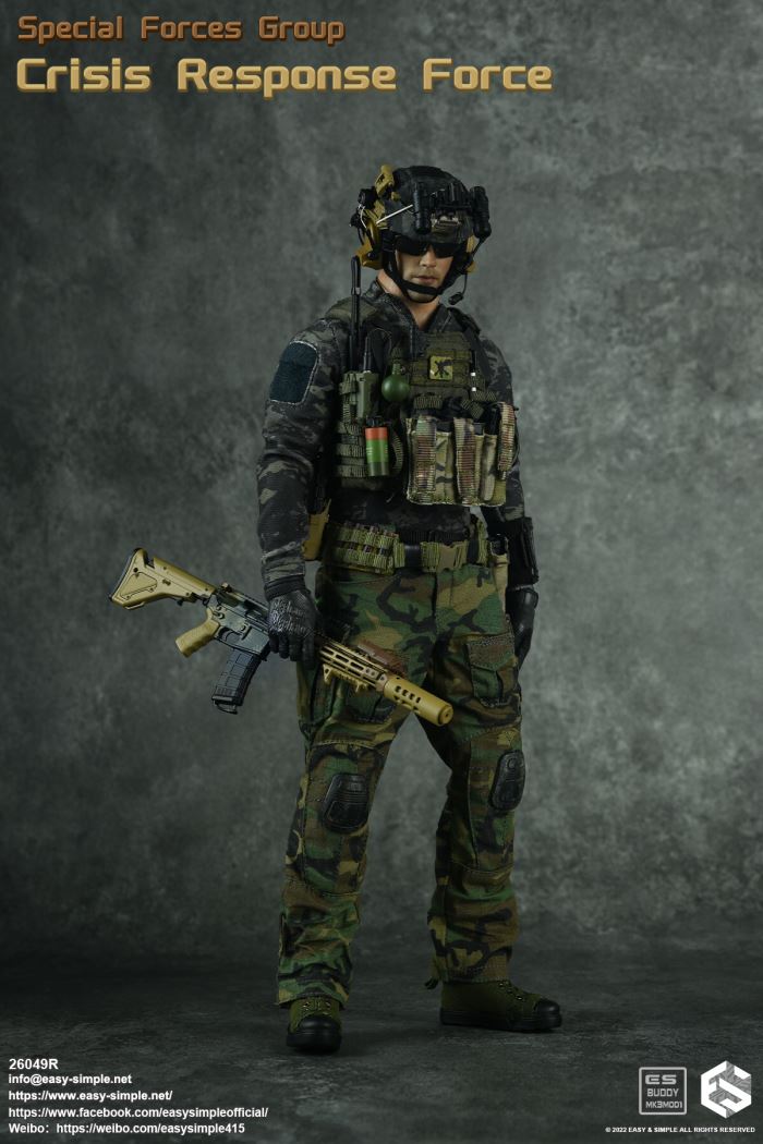 US SFG Green Beret Special Forces CRF 1/6