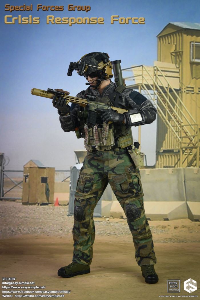 US SFG Green Beret Special Forces CRF 1/6