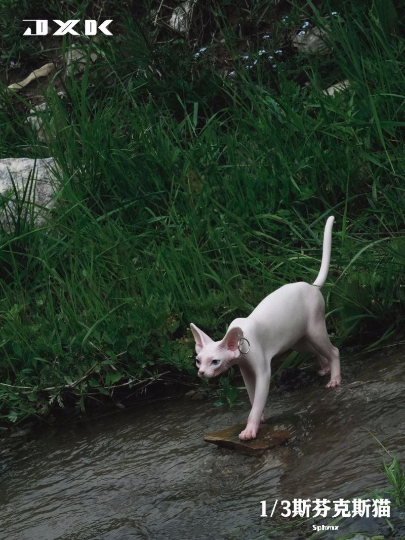 Sphynx 1/3