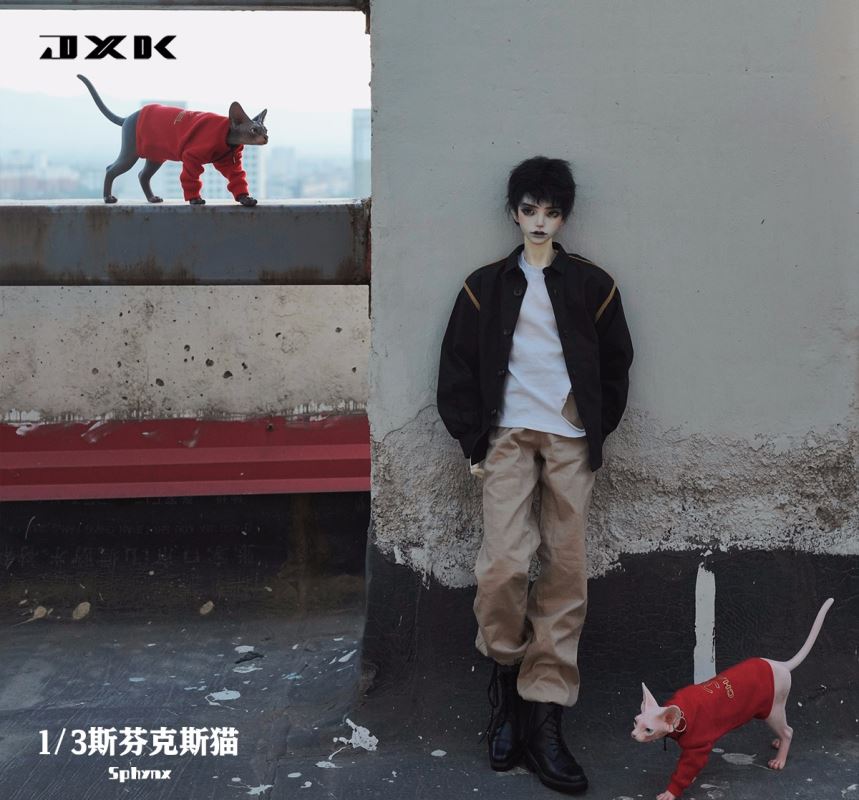 Sphynx 1/3