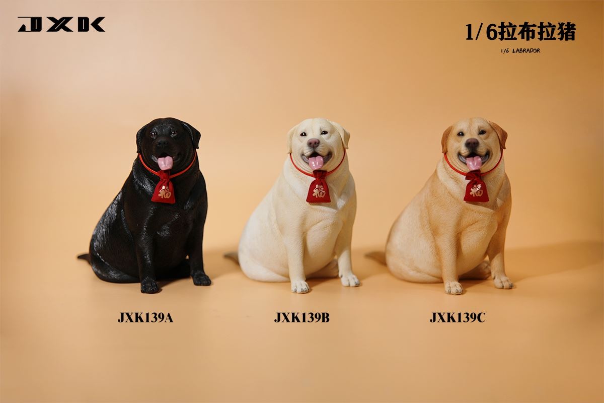 Labrador 1/6