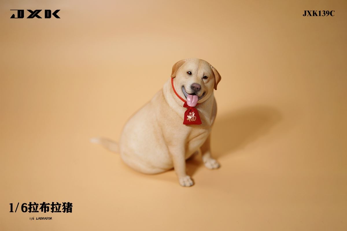 Labrador 1/6
