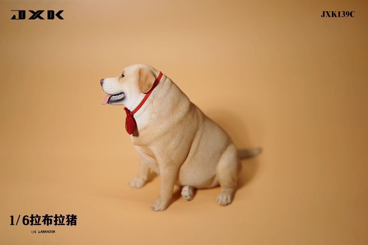 Labrador 1/6