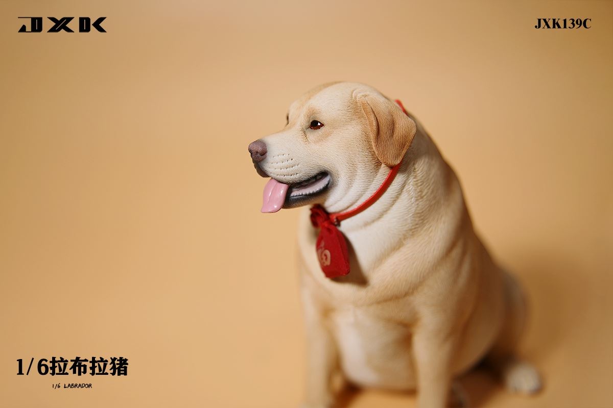Labrador 1/6