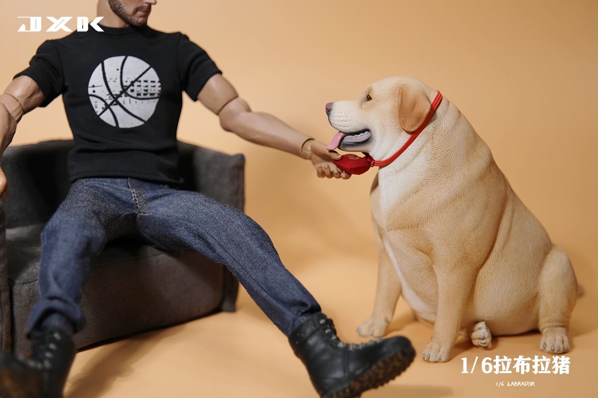 Labrador 1/6