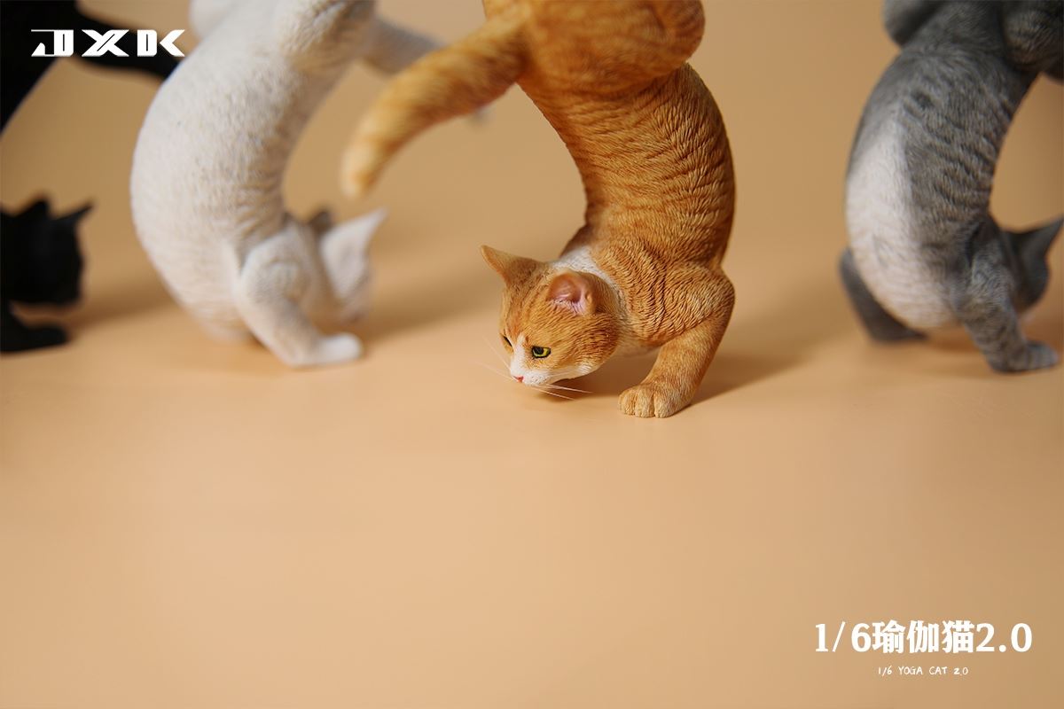 Yoga Cat 2.0 1/6