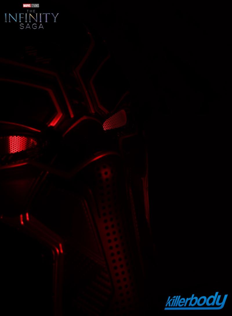 Wearable Black Panther Helmet 1/1