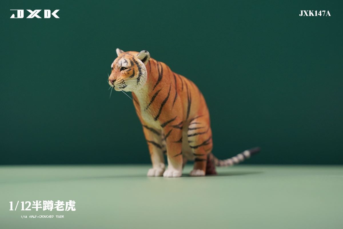 Half Squat Tiger 1/12
