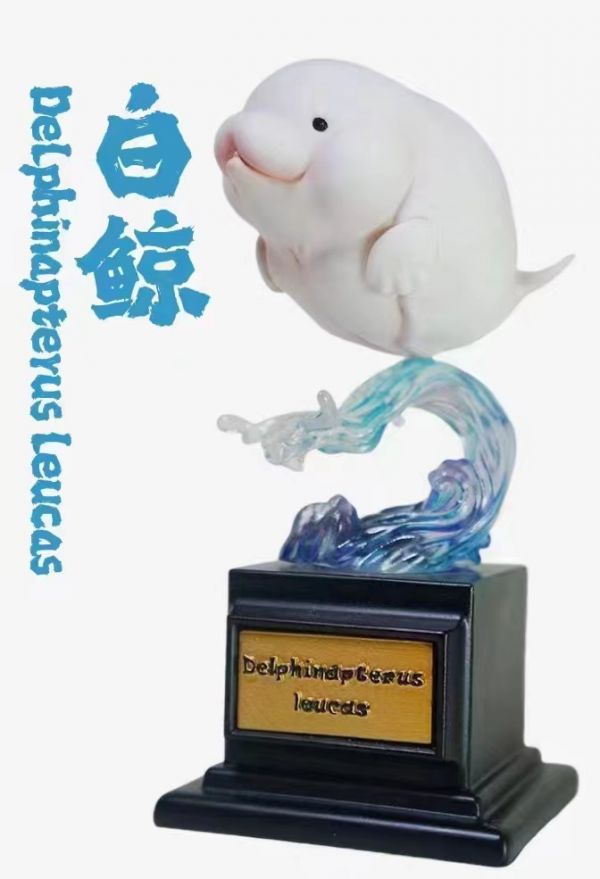 Ocean Collector Whale