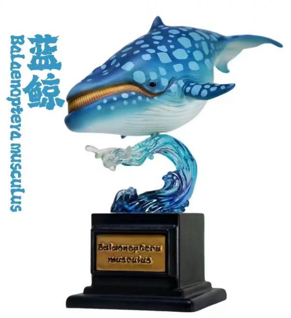 Ocean Collector Whale
