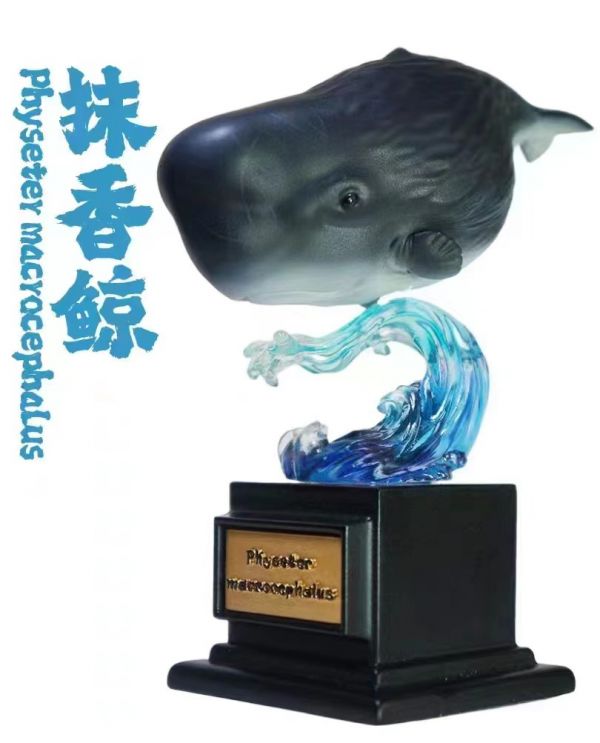 Ocean Collector Whale