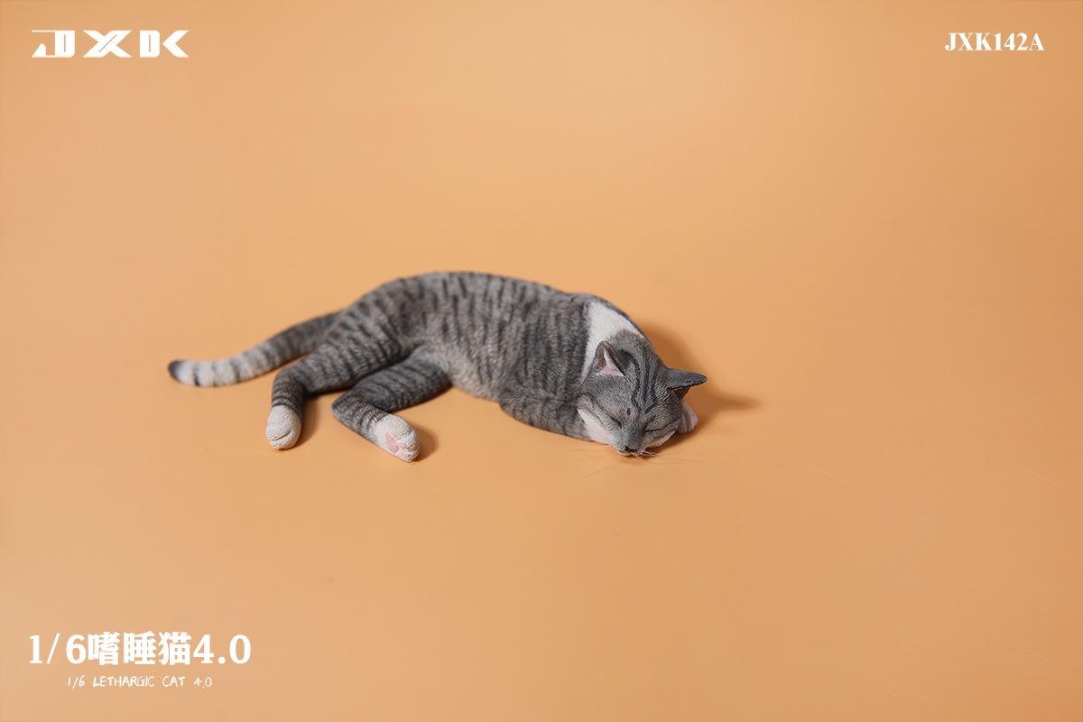 Sleepy Cat 4.0 (JXK142) 1/6