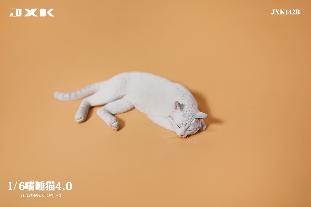 Sleepy Cat 4.0 (JXK142) 1/6