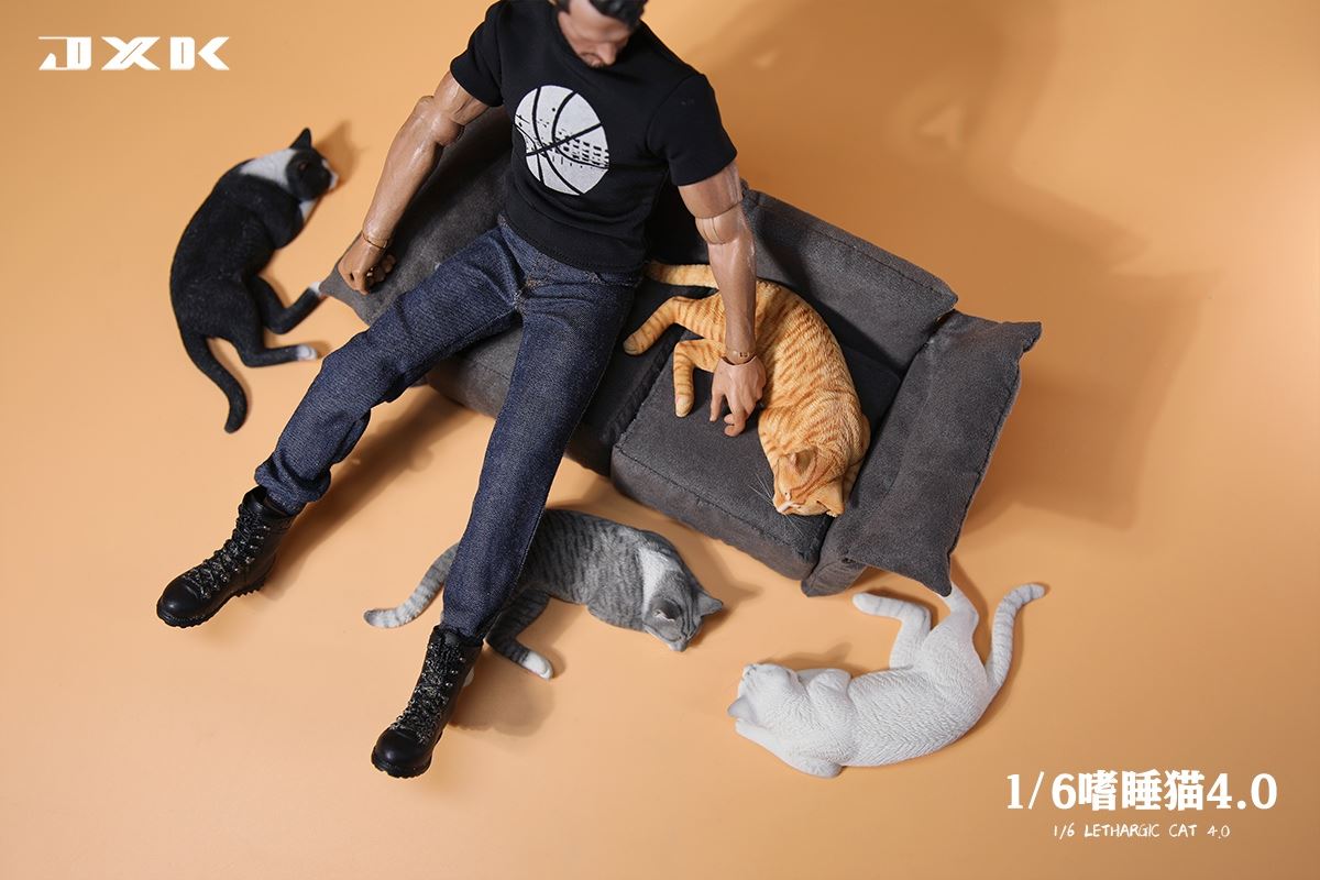Sleepy Cat 4.0 (JXK142) 1/6