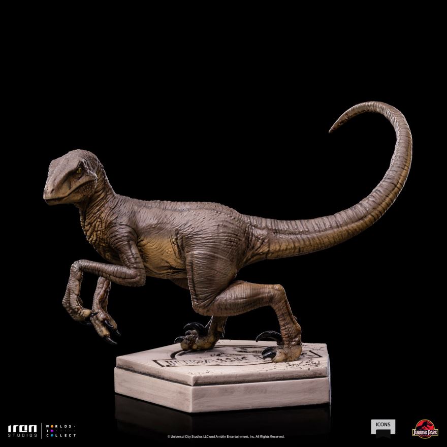 Velociraptor C - Jurassic Park