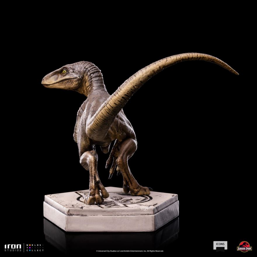 Velociraptor C - Jurassic Park