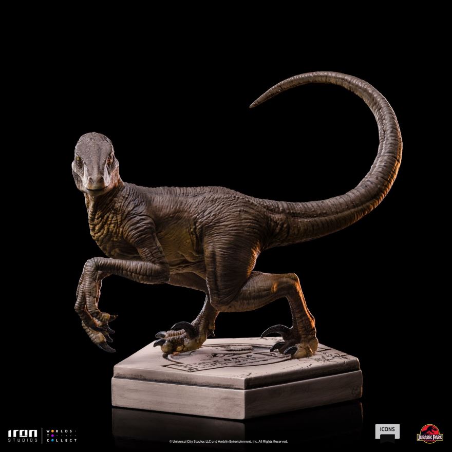 Velociraptor C - Jurassic Park
