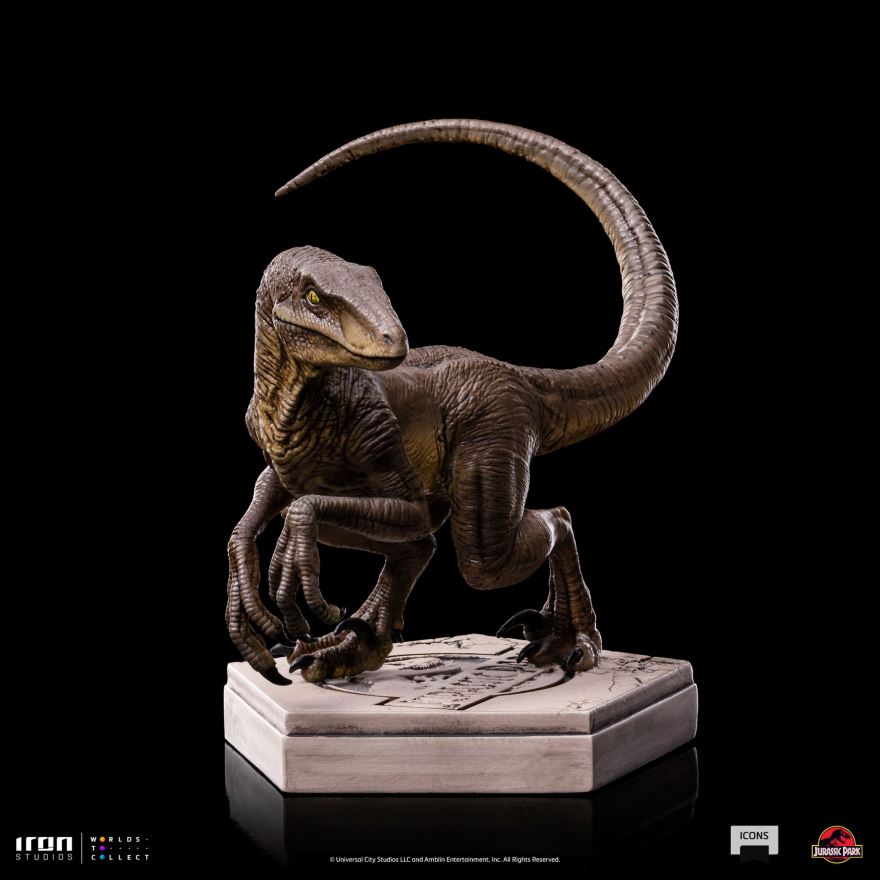 Velociraptor C - Jurassic Park