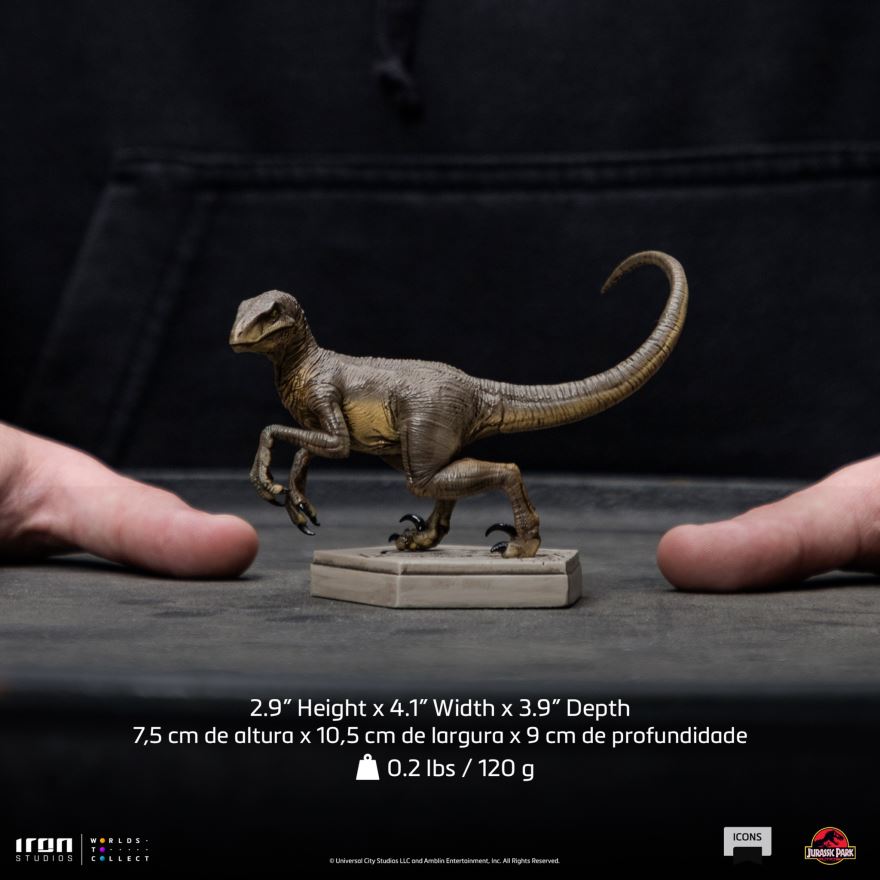 Velociraptor C - Jurassic Park