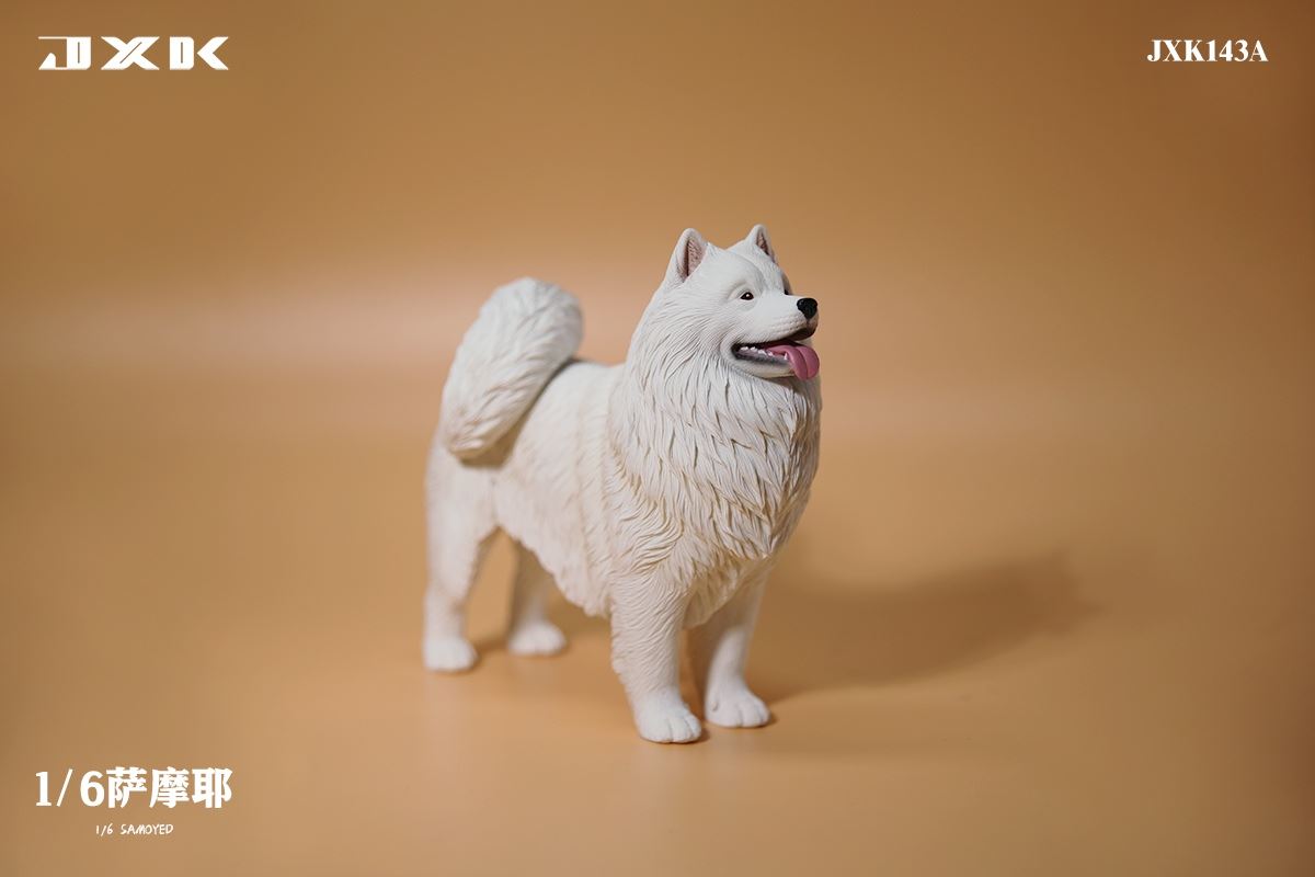 Samoyed (JXK143) 1/6