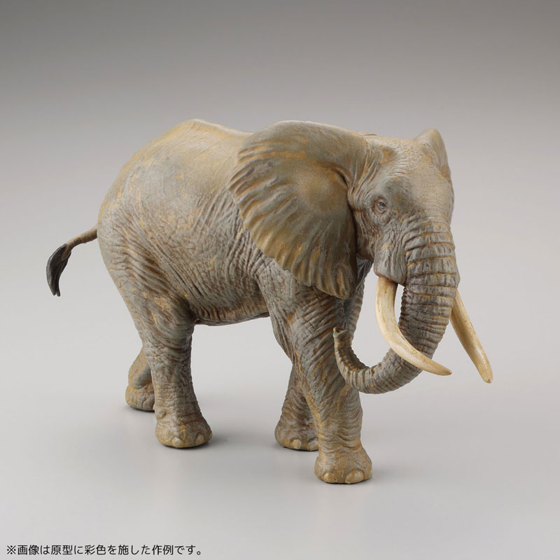 ARTPLA Tourist & African elephant Set 1/35