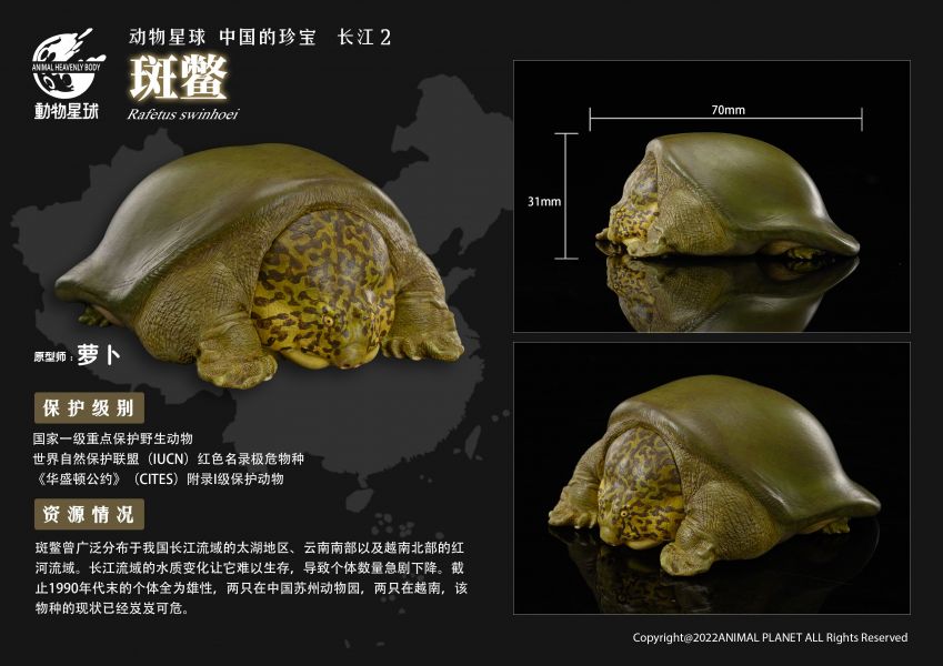 Chinese Treasure Yangtze River 2
