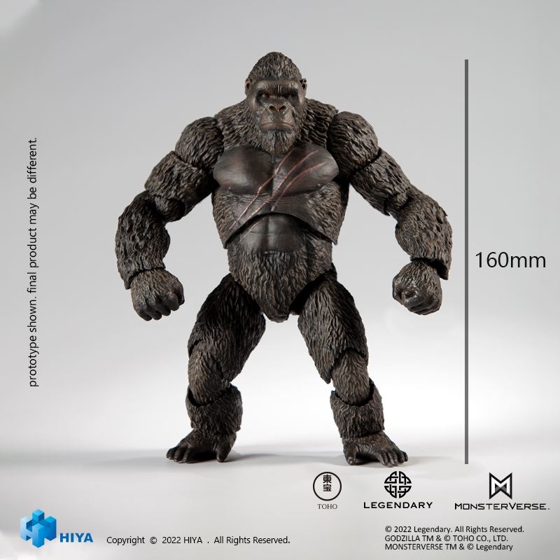 Kong - Godzilla vs Kong