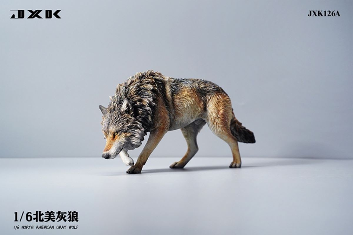 North American Grey Wolf 1/6