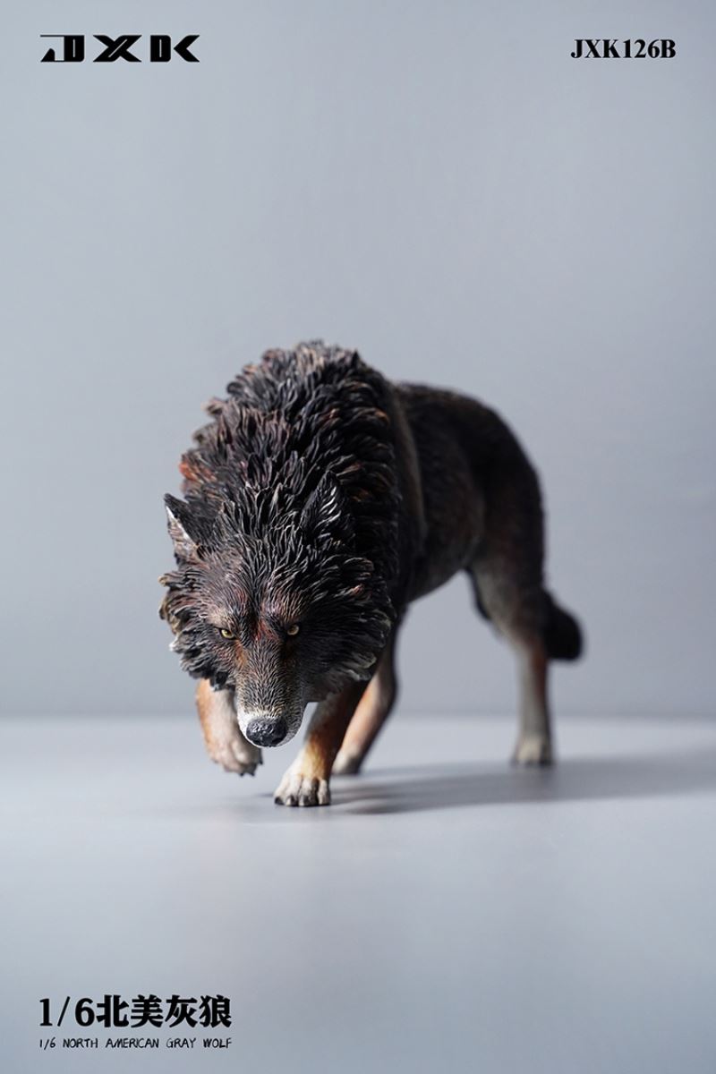 North American Grey Wolf 1/6
