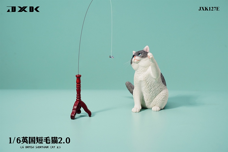 British Shorthair Cat 2.0 JXK127