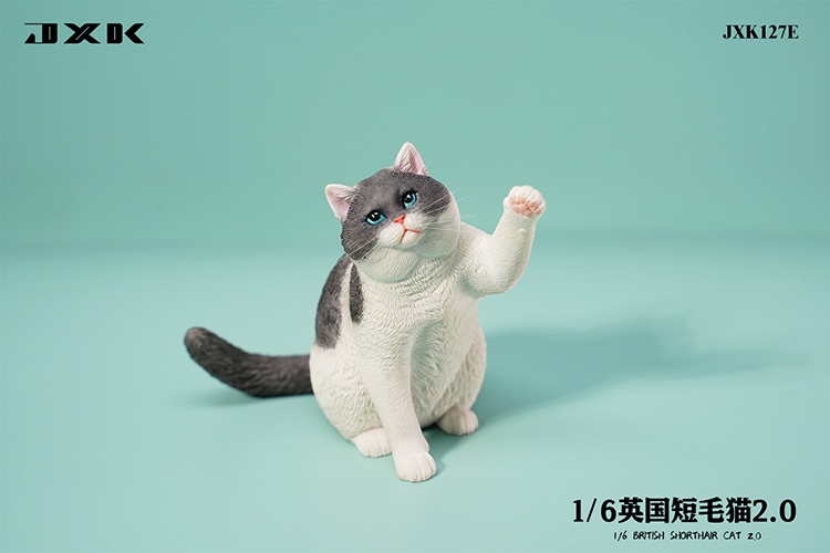 British Shorthair Cat 2.0 JXK127