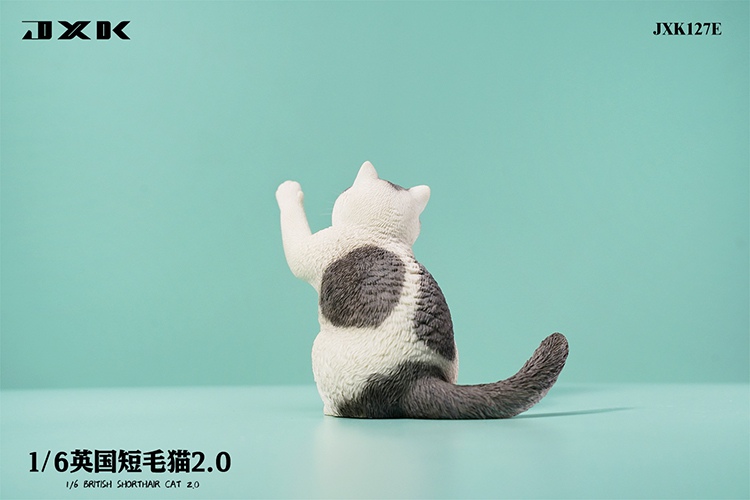 British Shorthair Cat 2.0 JXK127