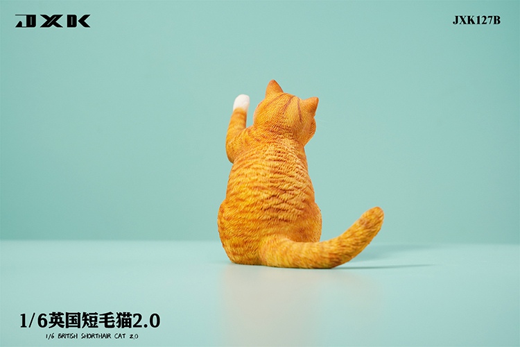 British Shorthair Cat 2.0 JXK127