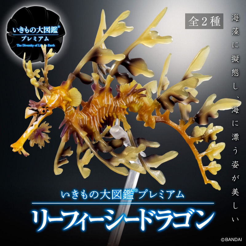 Ikimono Encyclopedia Premium Leafy Seadragon