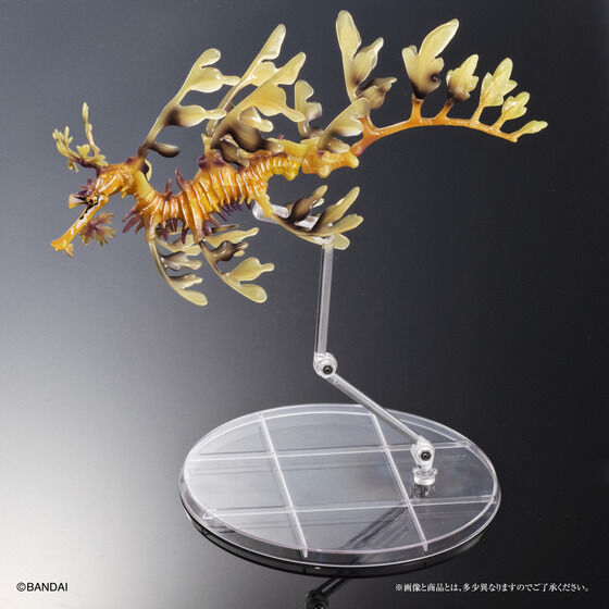 Ikimono Encyclopedia Premium Leafy Seadragon