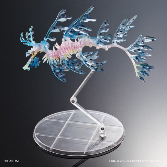 Ikimono Encyclopedia Premium Leafy Seadragon