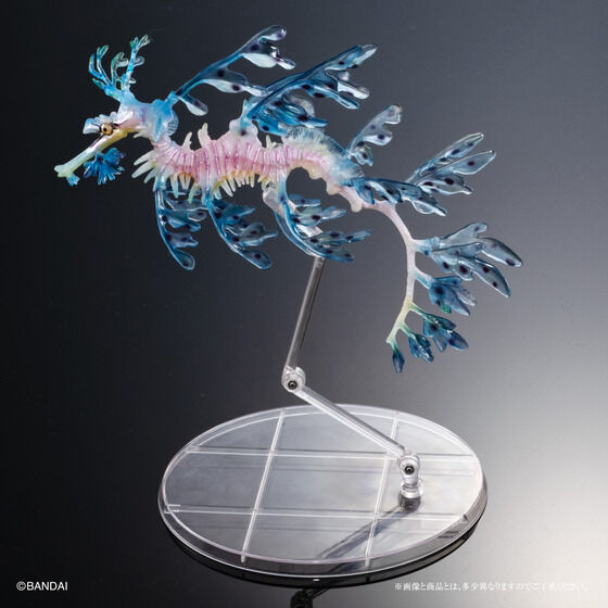 Ikimono Encyclopedia Premium Leafy Seadragon
